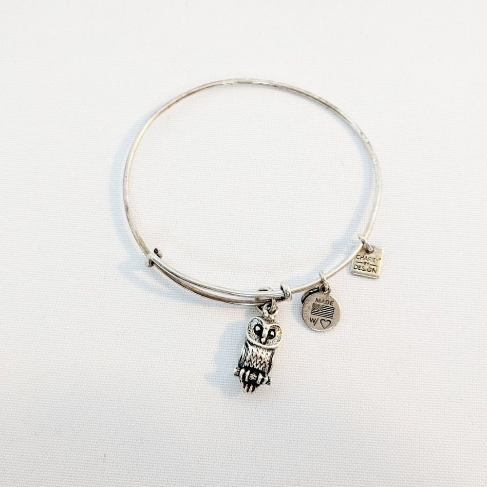 Alex and Ani Owl Bracelet in Rafaelian Silver